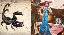 O cântăreață de muzică pop a fost înțepată de un scorpion. A fost nevoită să-și anuleze concertele