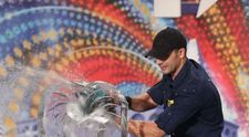 Iulian Tanase - IceArt