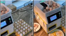 Mașina care face ouă ochiuri fără efort: le bagi crude și le scoți gătite! Internauții râd copios: „Dacă e clocit, ies crispy strips”