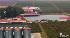 Wine Trips România | Crama Hermeziu, ținutul vinurilor rose cu spirit tânăr
