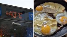 Valul de caniculă ”Omega” face ravagii în Europa. Un francez și-a prăjit ouăle la soare