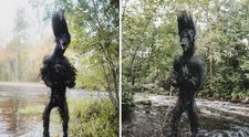 Ce animal apare într-o fotografie care îi sperie pe toți. „M-a băgat în panică”