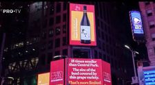 Sărbători cu vin românesc pentru românii de acasă, din New York și de pretutindeni