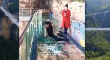 Podeaua din geam s-a spart exact sub tălpile lui, iar reacția bărbatului este pe măsură