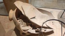 Un băiețel de 4 ani a spart din greșeală un vas vechi de 3500 de ani, expus într-un  muzeu. Tatăl copilului, șocat: „Era curios să vadă ce este înăuntru”