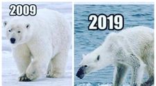 10 year challenge: cele mai răscolitoare memeuri de pe internet