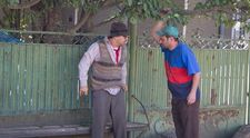 Las Fierbinti, lider absolut de audienta. Minunea din Fierbinti a starnit noi controverse