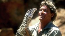 Un desen cu Steve Irwin, în Rai, alături de animalele din Australia, a devenit viral