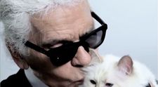 Choupette, povestea incredibilă a celei mai bogate pisici din lume. Stăpânul ei voia să se însoare cu ea