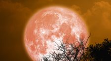 Superluna sturionului aduce val de noroc pentru patru zodii. August 2025 devine luna marilor reușite