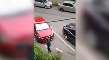 Politețea și ironia înving bădărănia