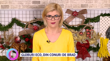 Cum să faci propriile globuri eco, din conuri de brad?