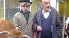 Viorel Lis a dat masina pe o vaca! VIDEO