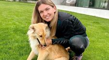 Simona Halep iubește din nou?! Detaliul care a dat-o de gol
