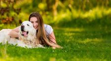 (P) Top 7 beneficii. De ce să cumperi hrană super premium pentru câinele tău?