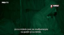 Discuții aprinse în tabăra Faimoșilor: “Suntem foarte confortabili cu pierdutul”