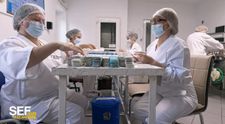 Șef sub acoperire, 5 decembrie. Chiurciu Viorica intră sub acoperire la compania de medicamente pe care o conduce și devine ucenica Doinei