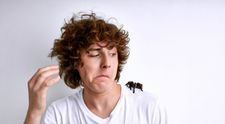 Prietenia neobișnuită dintre un șofer și un păianjen gigant. Îl îngrijește de un an în mașina lui