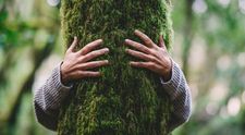 Problemele pădurilor. Câte sunt cauzate de schimbările climatice, câte de defrișări și care sunt soluțiile