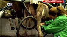 Ioana Tufar, la ferma de animale. Vezi cum s-a descurcat!