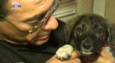 Van Damme creste cincisprezece catei si mai adopta o catelusa din Romania!