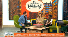 Andreea Antonescu și fiica ei au o adevărată grădină zoologică în propria casă! Tarantula Maria este răsfățata familiei