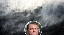 Leonardo DiCaprio promite un ajutor de 5 milioane de dolari pentru pădurea amazoniană