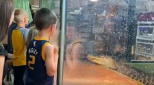 Un video cum un aligator atacă o femeie, devenit viral. Mai mulți copii au fost martori la scena înfiorătoare