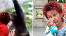 O femeie nu mai are voie să meargă la grădina zoologică, după ce s-a împrietenit prea mult cu un cimpanzeu