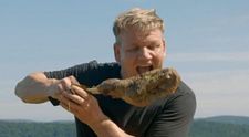 Gordon Ramsay, controversă uriașă după ce a ucis și a mâncat o capră în Noua Zeelandă