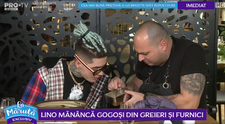 VIDEO Lino Golden mănâncă gogoși din greieri și furnici