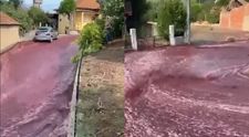 Peste două milioane de litri de vin roșu au inundat un oraș din Portugalia, după ce rezervoarele în care era ținut au cedat