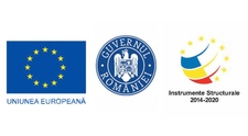 Poliția Română lansează o campanie de educație rutieră adresată persoanelor în vârstă