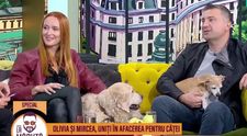 Mircea Căpățînă și Olivia Pamfil, uniți în afacerea pentru căței! Cât costă ca un câine să fie tratat regește