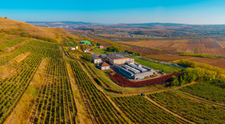 Wine Trips România | Lecția de „spumante” în patria vinului alb, Jidvei