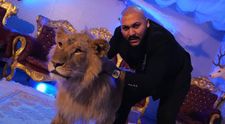 Dani Mocanu, probleme cu legea din cauza unui clip! Decizia pe care a luat-o după ce a ajuns în atenția poliției
