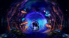 Număr impresionant de vizitatori la expoziția „Grădina Luminilor”, organizată în Grădina Botanică „Dimitrie Brandza” a Universității din București