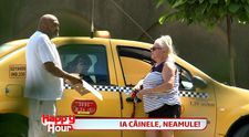 Mirabela Dauer ar face orice pentru cainii ei! L-a snopit in bataie pe barbatul care a vrut sa ii fure animalele de companie. VIDEO