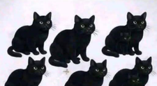 Iluzie optică virală! Vezi 9 pisici negre în imagine? Greșit. Câte sunt, în realitate