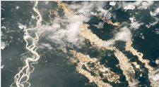Un astronaut NASA a surprins ”râuri de aur” în Amazonia peruviană