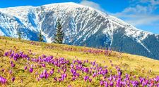 Cel mai mare parc national din Europa ar putea fi facut in Romania! Cum arata zona comparata cu Yellowstone