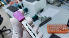 Câte cazuri de Hantavirus s-au înregistrat în România în ultimii ani. Care este riscul de infecție în țara noastră, potrivit INSP