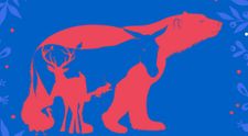 8 animale se ascund în această iluzie optică virală! Primul animal pe care-l vezi în imagine îți dezvăluie ce fel de persoană ești