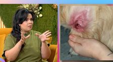 Campania “Zile de confort dermatologic” oferă proprietarilor de câini ocazia de a beneficia de consultații dermatologice gratuite în cabinetele veterinare partenere