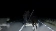 O fetiță în vârstă de trei săptămâni a murit după ce căruța în care se afla a fost lovită de o mașină. Momentul impactului a fost filmat, iar imaginile sunt devastatoare. VIDEO cu puternic impact emoțional