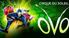 OVO – spectaculosul Cirque du Soleil – vine la București, cu show-uri în perioada 15-18 februarie 2024