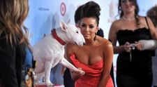 Ce decolteu sexy are Eva Longoria! FOTO