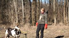 Momente tensionate la Ferma Vedetelor