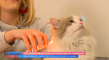 VIDEO Idei pentru realizarea decorațiunilor luminoase