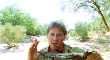 Fiul lui Steve Irwin a împlinit 16 ani. Asemănarea cu regretatul ”Vânător de crocodil” este șocantă